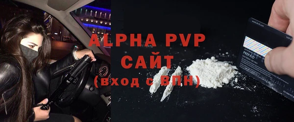 a pvp Бородино